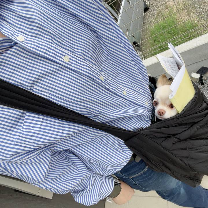 Cc41660b d2aa 432d b6a1 5f4c847cd369 1727400566266