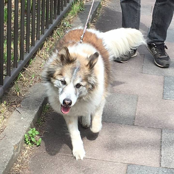 Cc41699d 01cf 484e 8f9a cac4a7756894 1546825580323