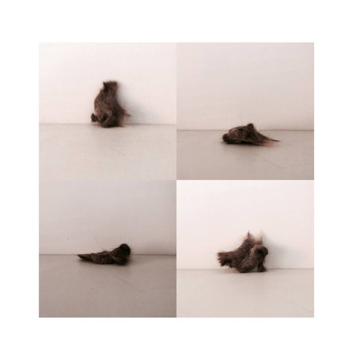 Cc419621 3df2 4768 8fee 4a4bf6675e9a 1632293353803