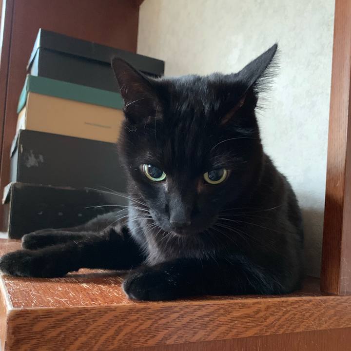 Cc41d83e bb43 4922 a508 7f11aa7ad01e 1549673302784