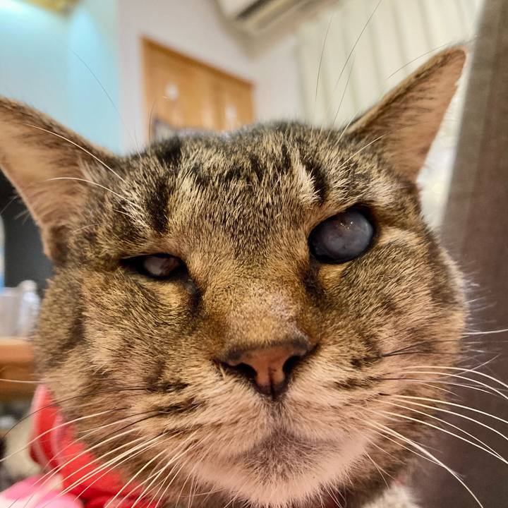 Cc41f68d 50a6 43ee 8103 9dc602d98408 1683928376695