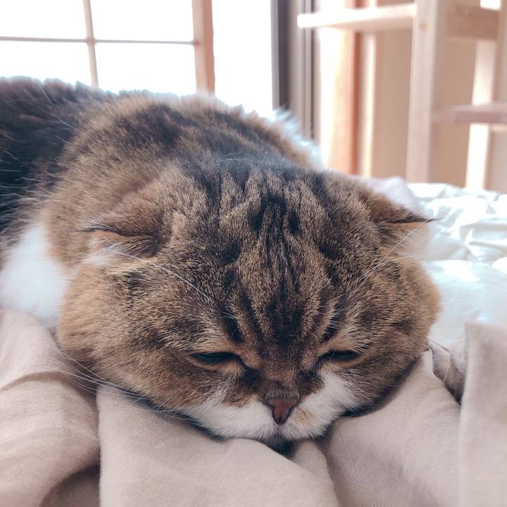 Cc42659f 2a71 43a7 9838 21340affe848 1622032060824