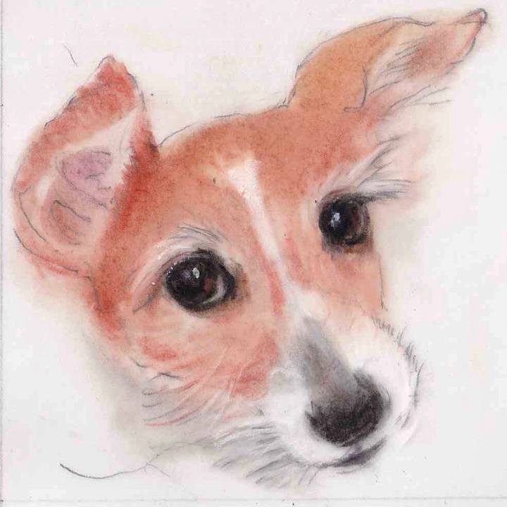 Cc4271ea a55c 473b 9997 3fd817be5db1 1644060550774