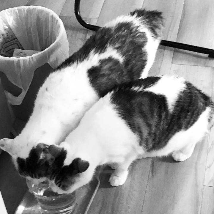 Cc4276de 1b1b 4723 8bb5 d6c05bfe64c8 1562326540371