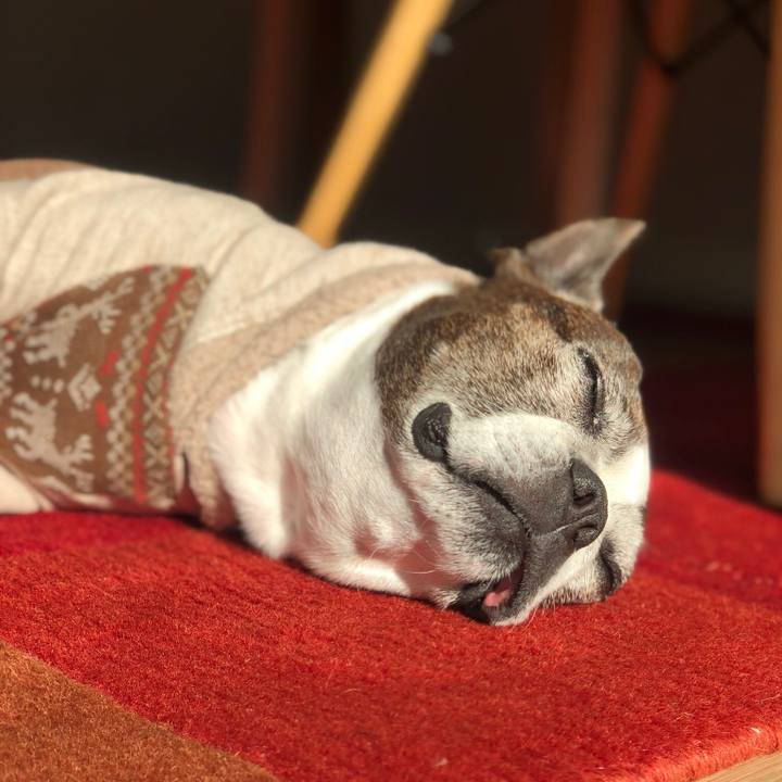 Cc42cbe9 e783 4aea ac85 c22130f48734 1511873373741