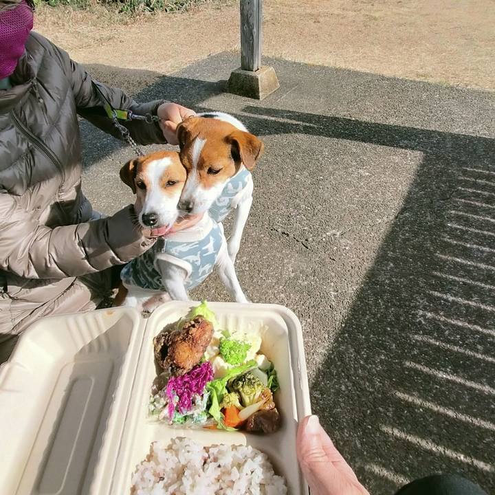 Cc42f13d 6729 461f ae6a 614743d4a874 1768464220388