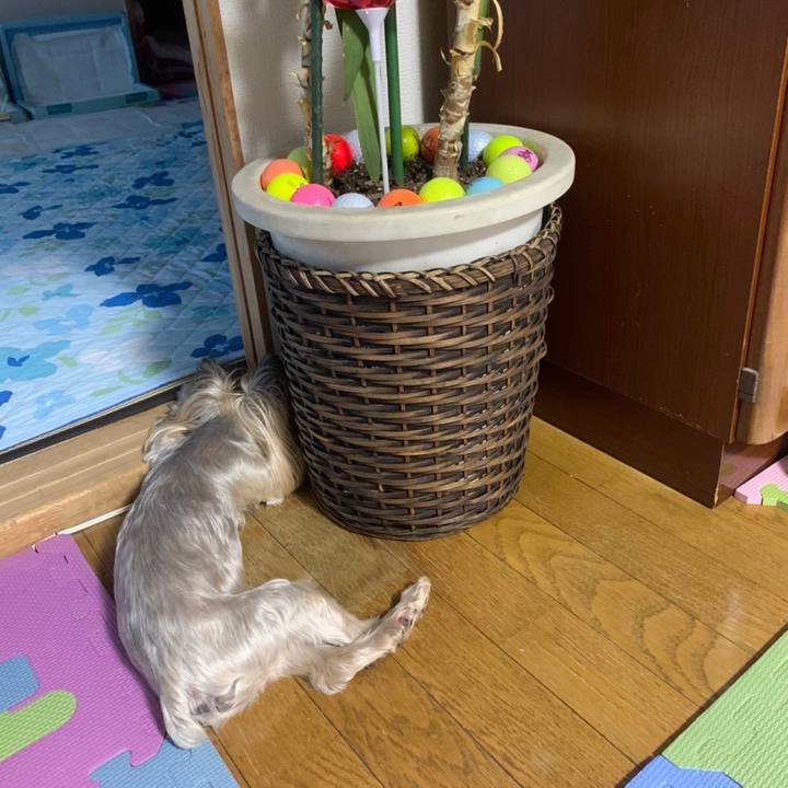 Cc431267 46ab 4edc aa72 28e97ef06502 1662371940814