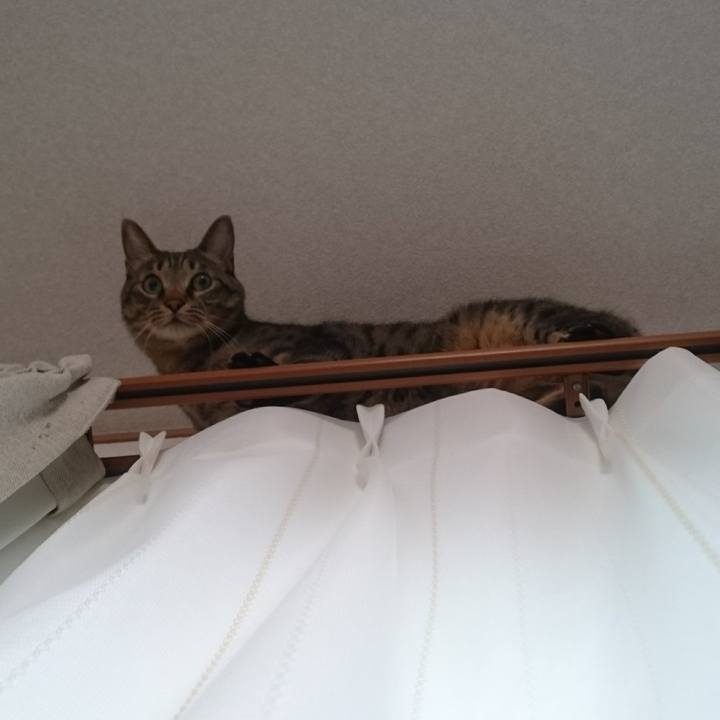 Cc438fac 217e 4f5a 87cb 43f10e061654 1507943688801