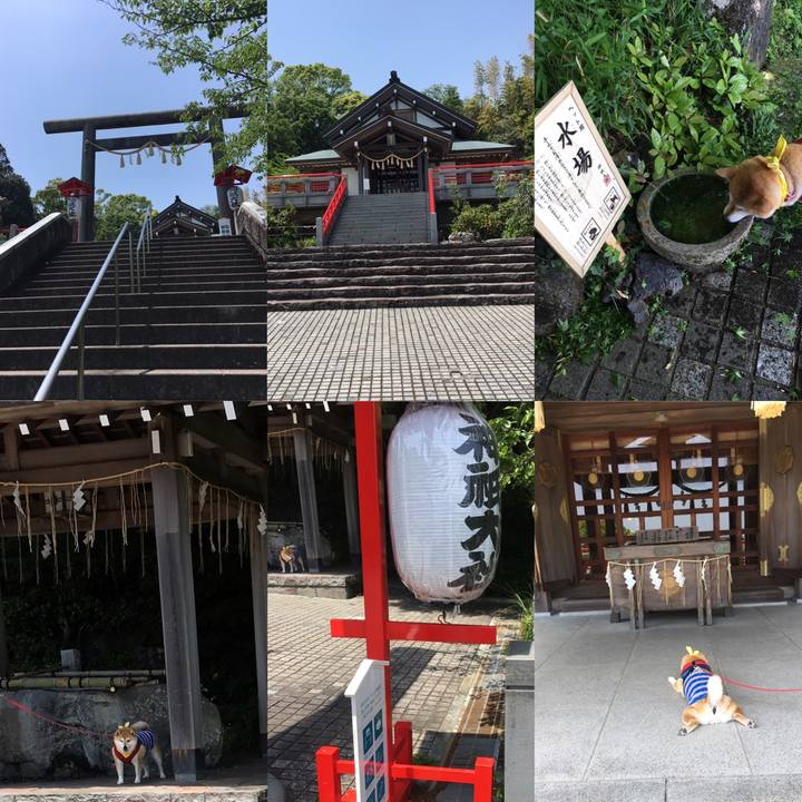 Cc43aab9 2089 4aea b65b d83b347f2590 1620552462230