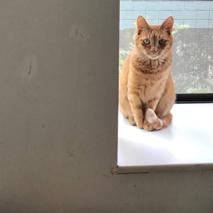 Cc4401c3 b4e7 47d0 aee1 b65067eaa655 1557726799424