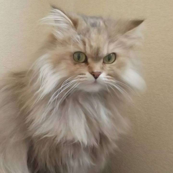 Cc4448ad 83e6 421a 82b2 847a85f29411 1615085827170