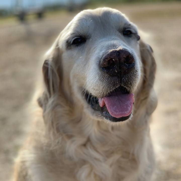 Cc444a31 616f 4c63 a407 8a3b8d1b60d6 1613618871118