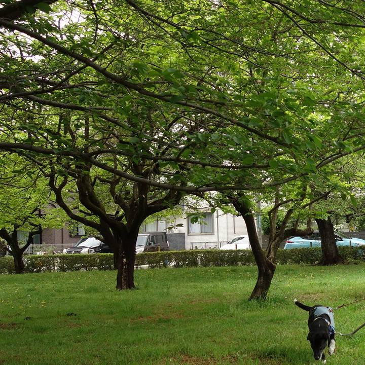 Cc446af9 7baf 4cdd 91b9 5f3f99867838 1713833775782