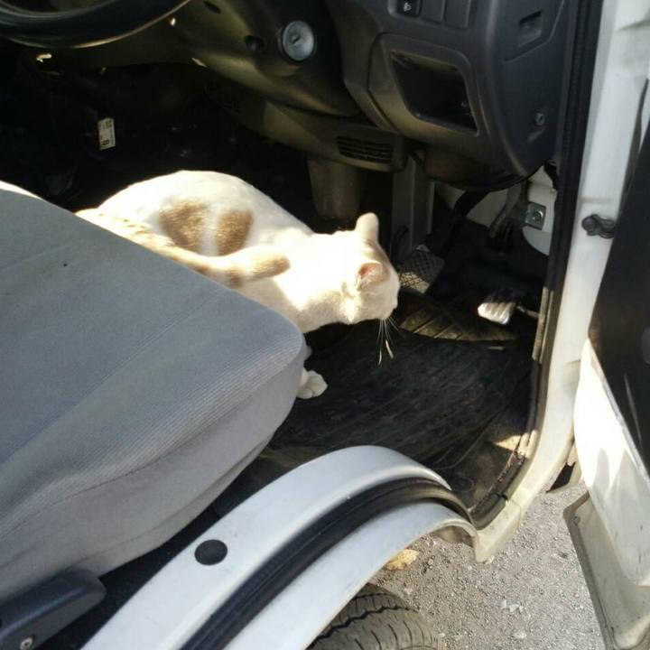 Cc446db7 df95 45fc 9ffd 22e0aa984328 1510896380325