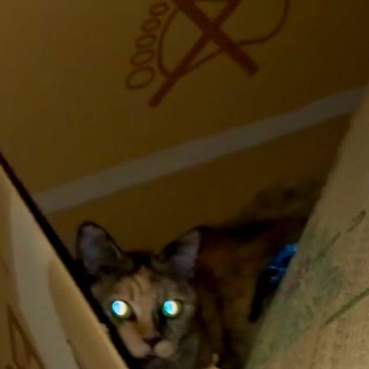 Cc44a25a bfed 43b2 b712 56e8acfbbf31 1754427216402