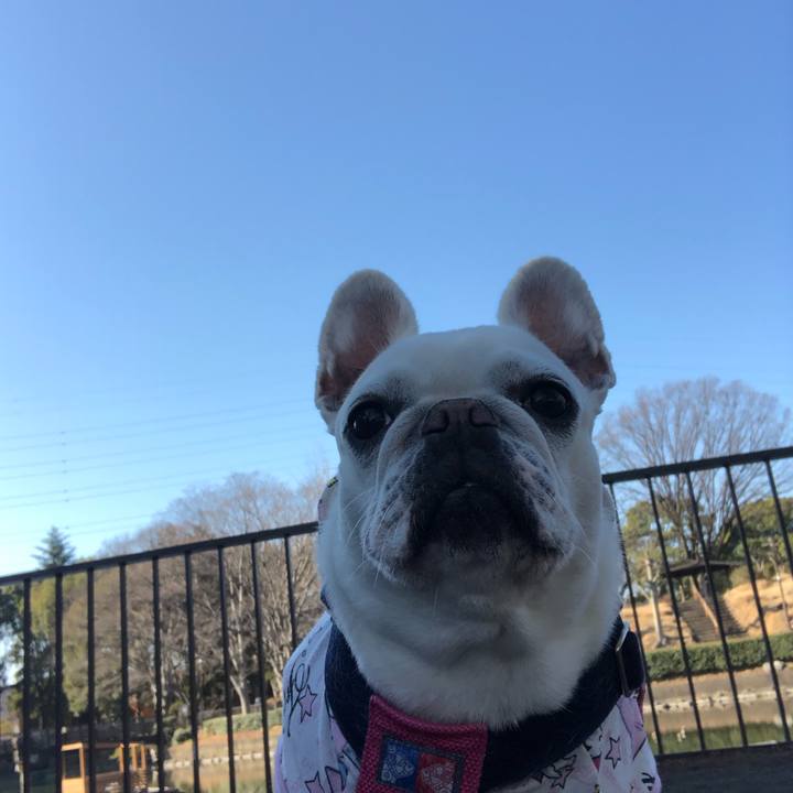 Cc44b1dc 09dd 4df7 95dd e0406e6eb3f3 1612606414467