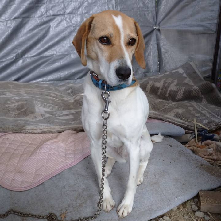 Cc44d17c 0711 457a 92d1 f098244a59cf 1615019981487