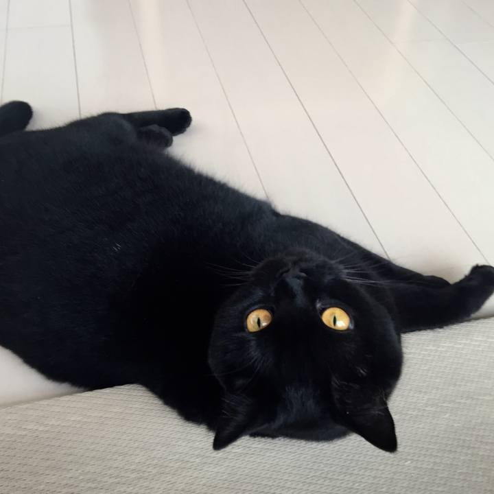 Cc44f4b2 700d 42ff b155 ccd4c181454f 1536367937614