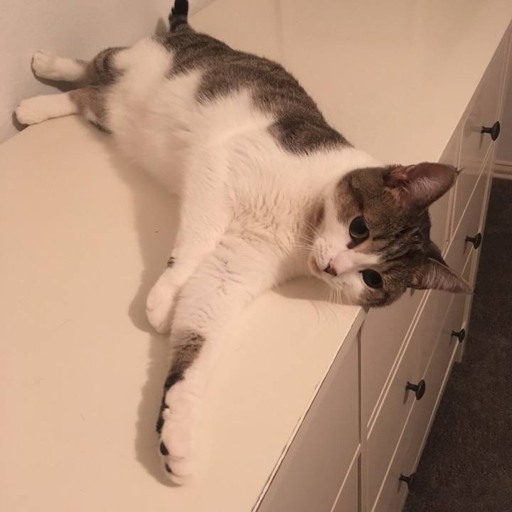 Cc450f01 765a 4751 b9d6 20759743efc0 1665449693326