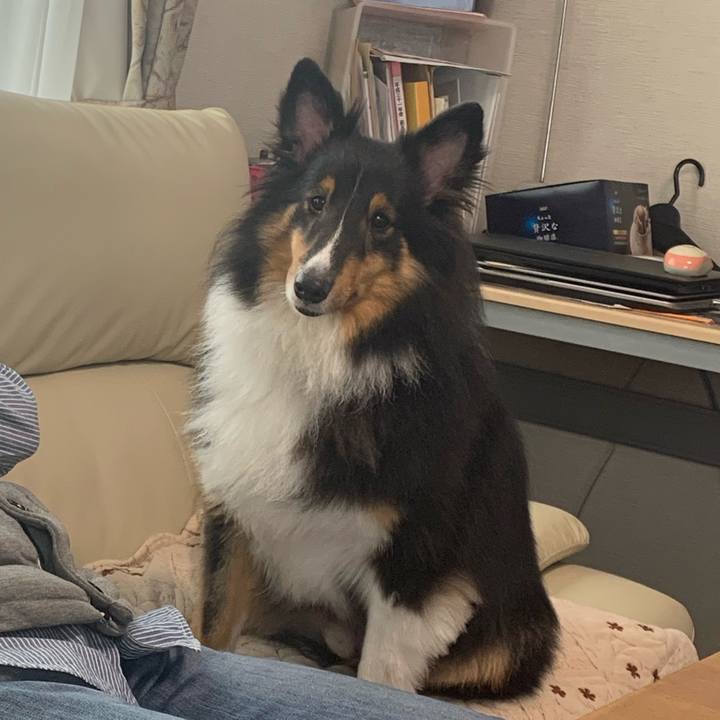 Cc455890 2419 4287 93eb 41f06552c9b6 1601764261821