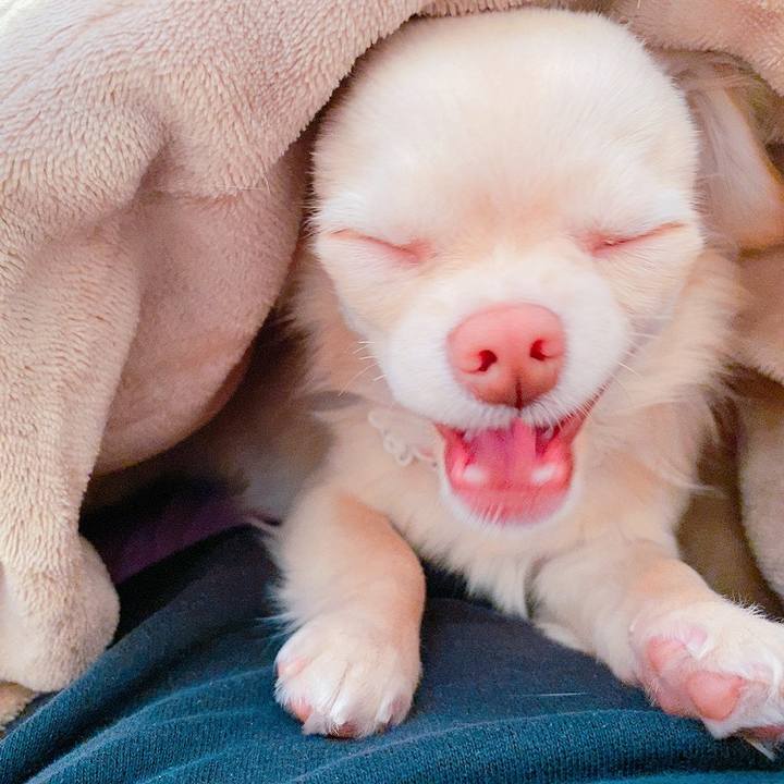 Cc456c6f 8bb1 411e 9725 918076e225f2 1614132773724