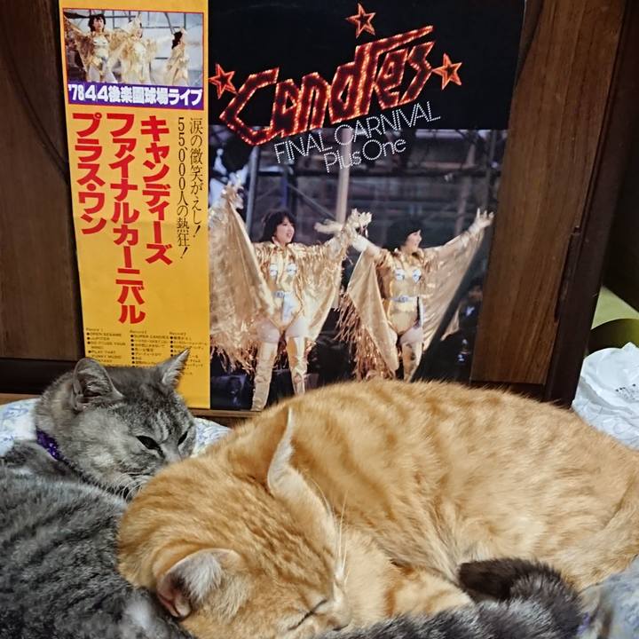 Cc45b587 3e43 45c1 813d 55a36b49148b 1589027298272