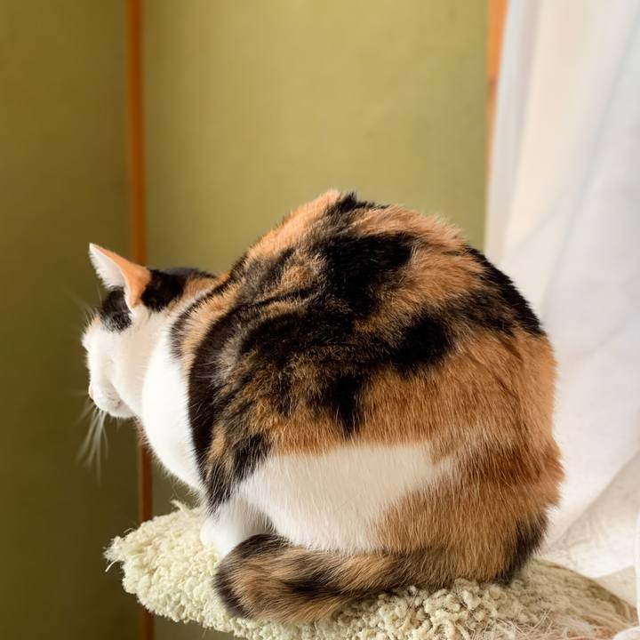 Cc45e198 3f97 4b59 8bc7 a938148004b6 1581298930558