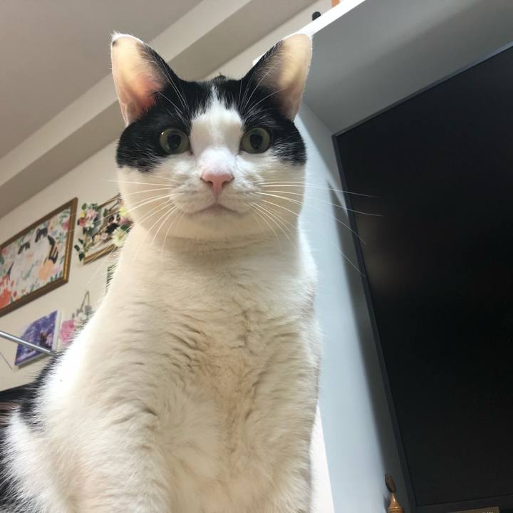 Cc462168 a1fe 47b4 a8fd 4521d89c5dff 1517983539442