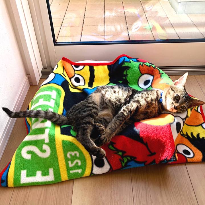 Cc463849 31dc 44ed bbc5 f5b7a010c12a 1510198312361