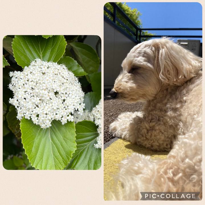 Cc46ed77 a63b 4cb4 90e6 1680a9641f63 1776312760021