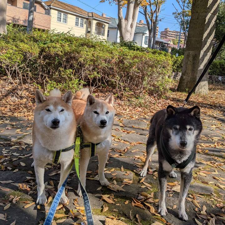 Cc47075c 55e2 4e6f b9f9 6228f5faa4d5 1763175785850