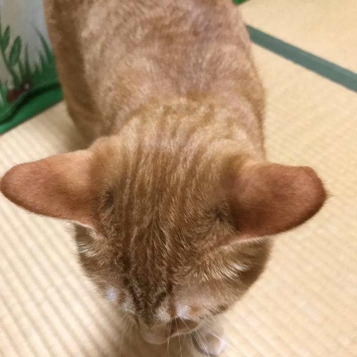 Cc472a63 6233 4c82 a0ca 38081b368720 1528719552594