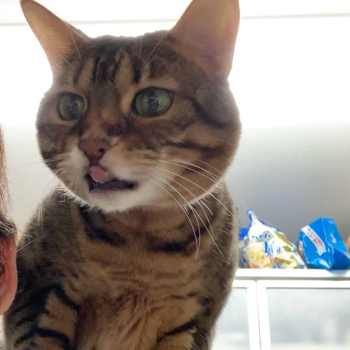 Cc47ba9e 3e07 4e04 b8e0 ef58ddee952e 1611123739617