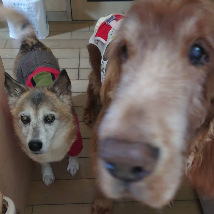 Cc47c395 5190 4e5a 9488 52cd811f2500 1735208820274