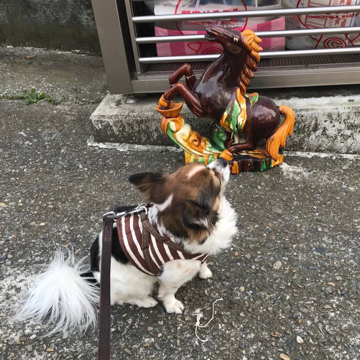 Cc47c430 5d0a 4f21 8843 a495053d54e7 1517376760908