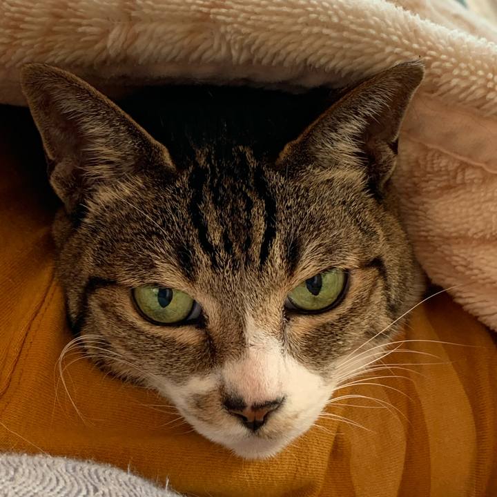 Cc47d12a ba1d 4457 9351 33d9537dd3c4 1575075626274