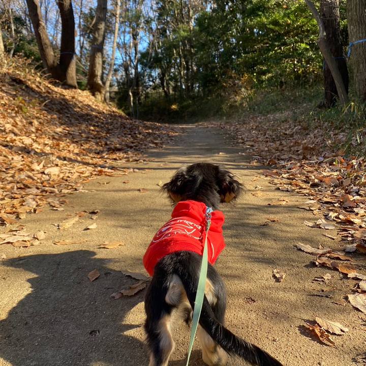 Cc47dda3 4958 4a6a 9da0 2ab46aea9853 1672539863676