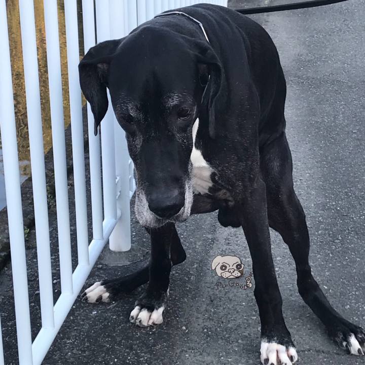 Cc47fb13 64e9 4454 b7a3 16383d47bef4 1524904804416