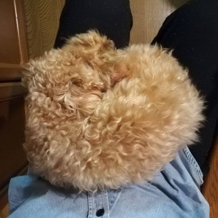 Cc482c6f e51f 4b0a 9726 e60c9e012ce0 1560764512609