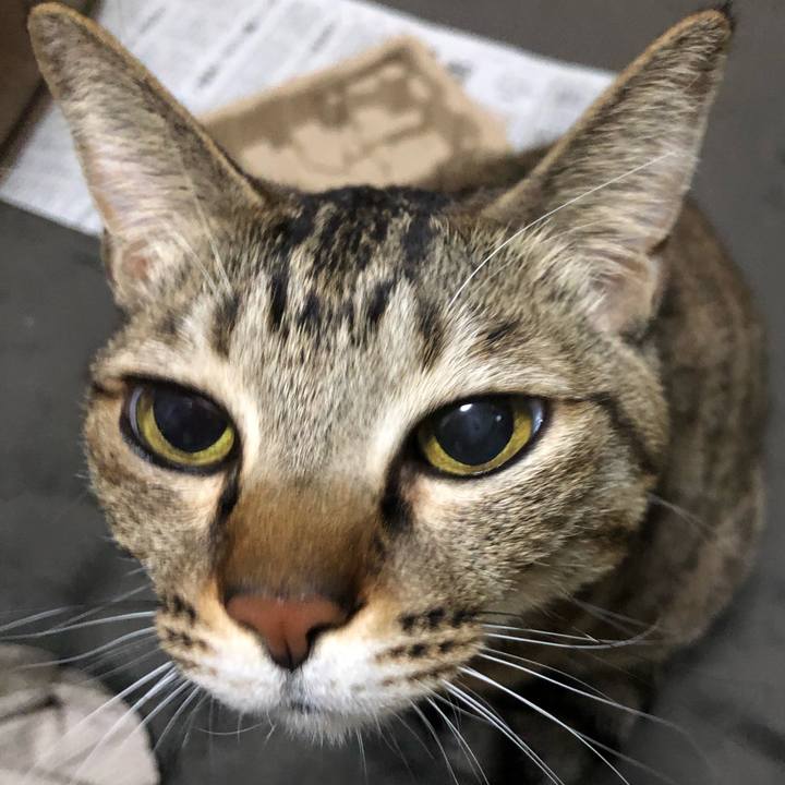 Cc4831c5 a00b 4e98 a3e0 a460e1cee371 1643472223299