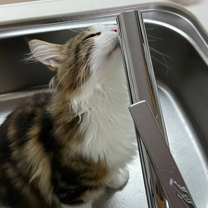 Cc486170 f8c2 4fdf aaca d89a30b4202a 1636193490059