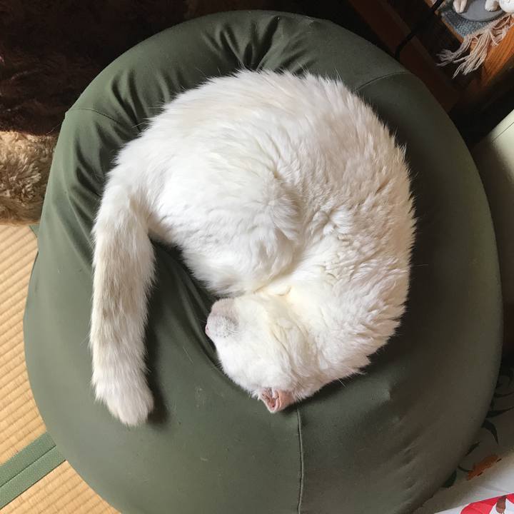 Cc488a64 57dc 4d03 8c65 3b2c08fb079d 1536635887335