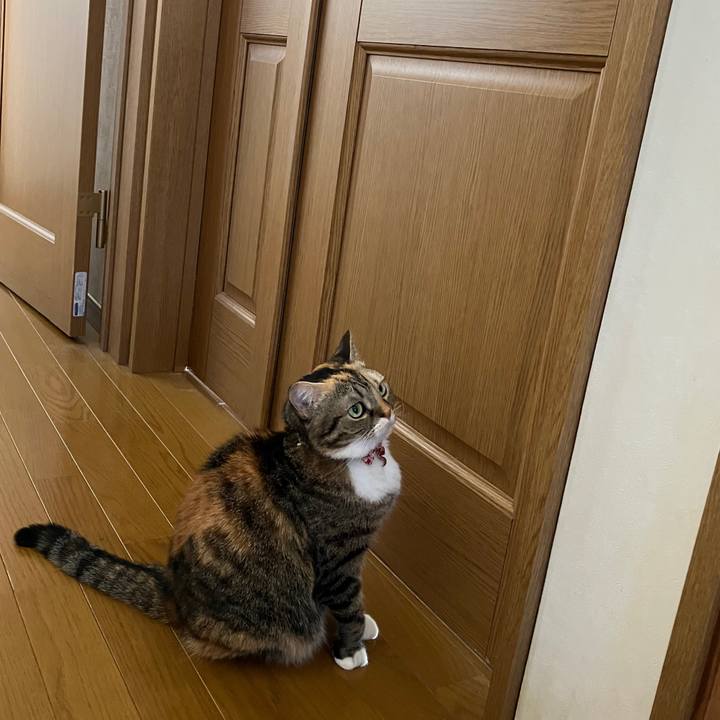 Cc48aa02 0006 49b5 83f2 4db41130ecbc 1763951371214