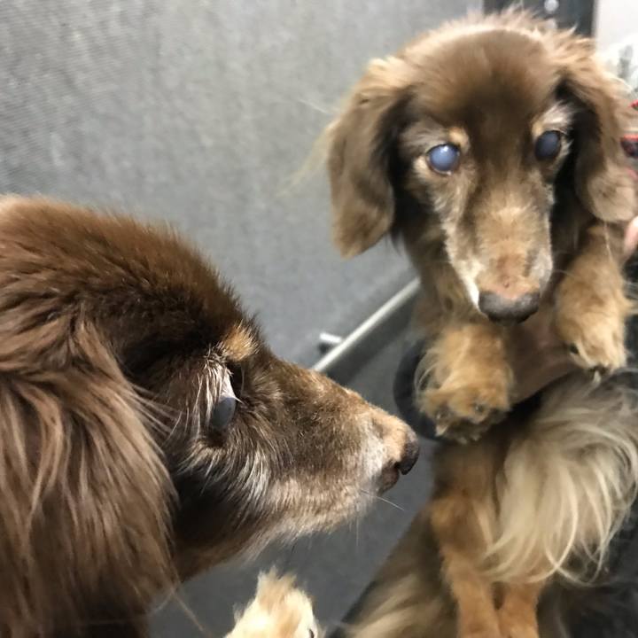 Cc48af7b 5b53 4349 8f20 d60ae350331f 1578971028576