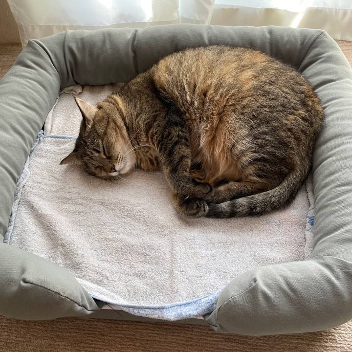 Cc48d38d b9bf 40cb 88ea d36620fb1e85 1633688386877