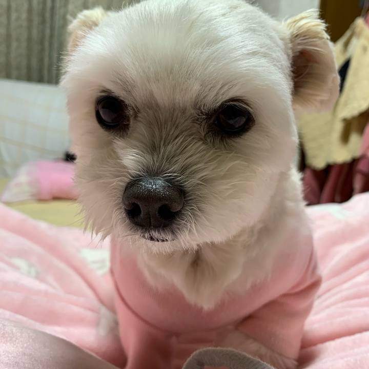 Cc48e765 3504 42ea 9eef dfc6a648ffbc 1610111645436