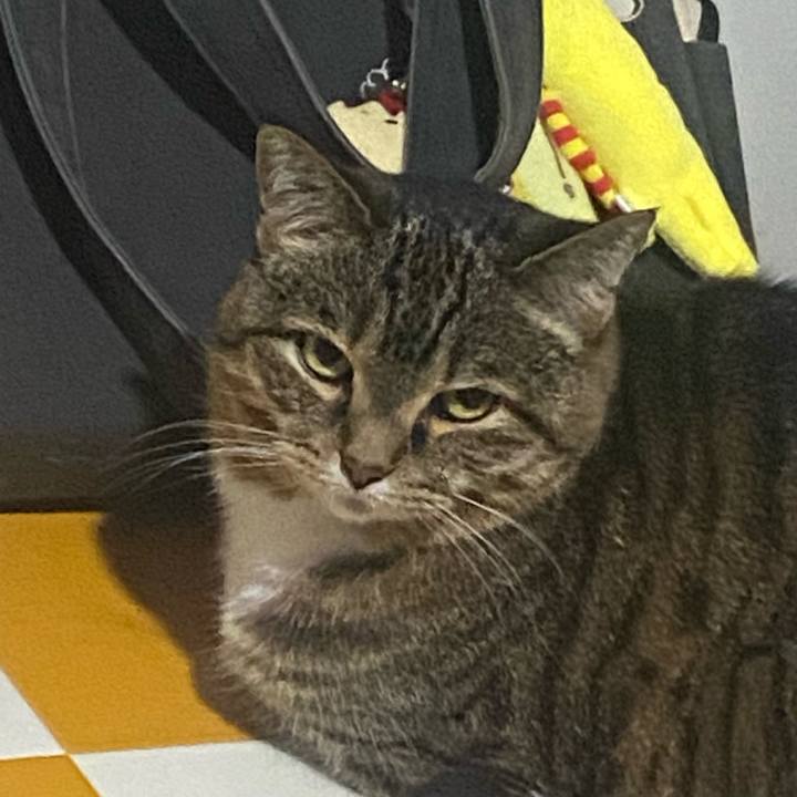 Cc48ed31 faba 4973 bbdd 7687d378408a 1718117160290