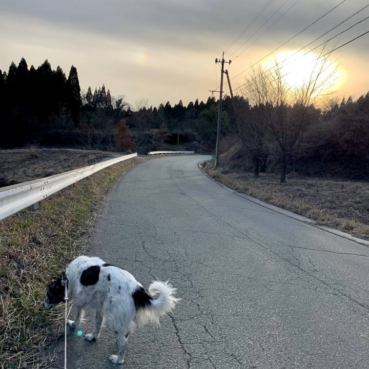 Cc48f711 2859 4e44 b8eb 82753477351c 1580985351798