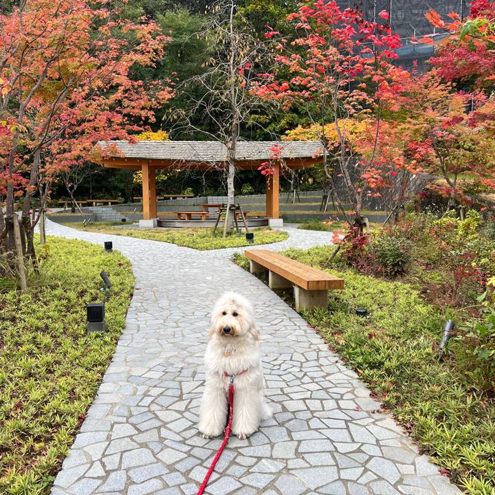 Cc4914d5 2241 46a2 b9af 85386de11df7 1761202085721