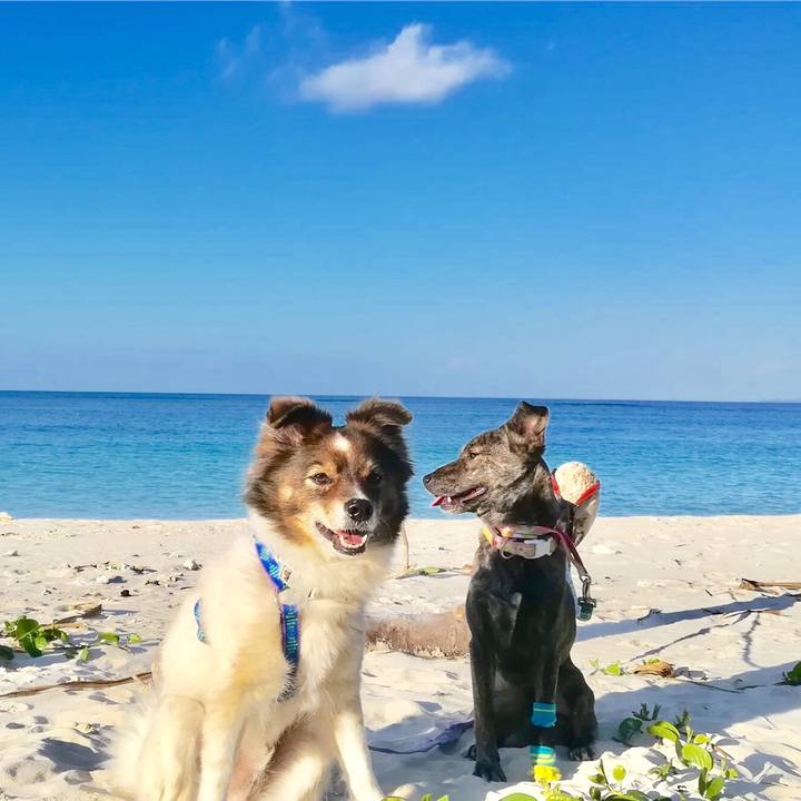 Cc492ee5 e25c 4522 a0d6 176839f211d3 1547910467337